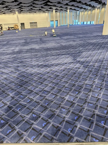 Wembley Carpet Cleaning