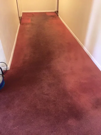 Carpet Cleaning Egham