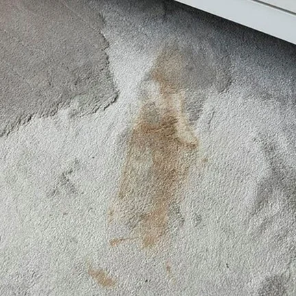 Carpet Stain Removal Virginia water