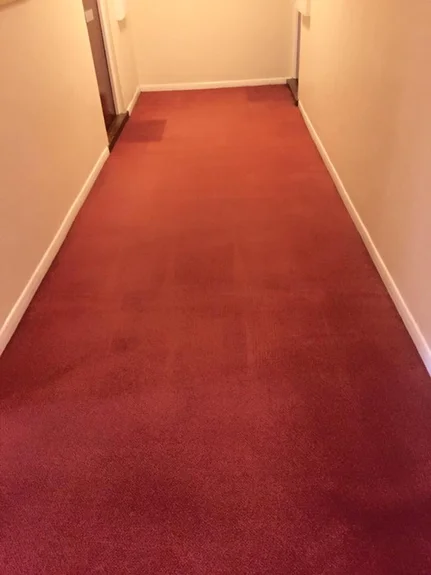 After carpet cleaning Egham