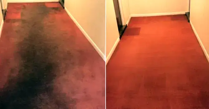 Domestic carpet cleaning Egham
