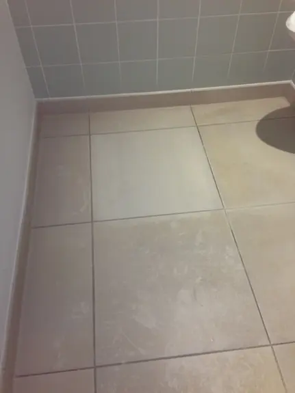 Carpet Cleaning