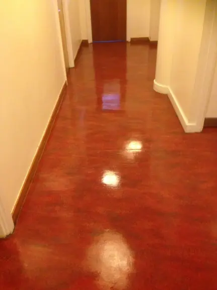Carpet Cleaning