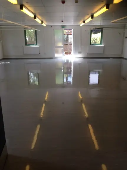 Carpet Cleaning