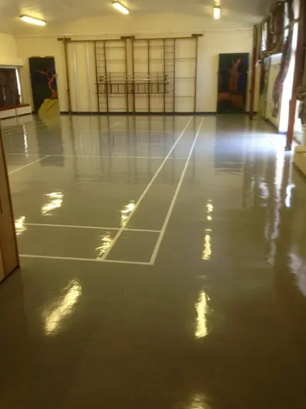 Carpet Cleaning