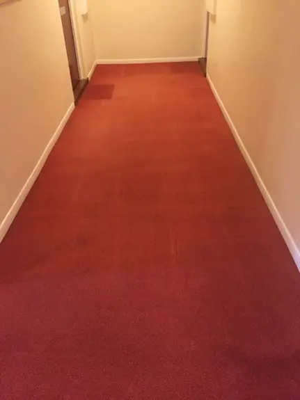 Carpet Cleaning